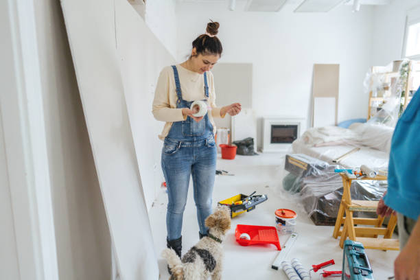 Best Drywall Crack Repair  in Red Wing, MN